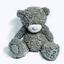 Toys Tatty Teddy bear